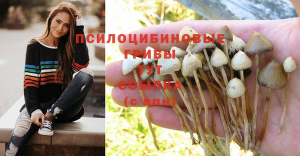 прущий лед Кулебаки