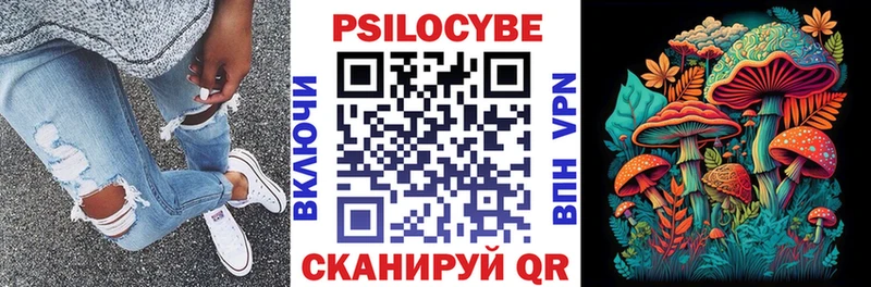 Галлюциногенные грибы Psilocybe  Купить закладки  Солигалич 